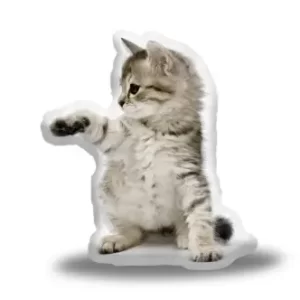 3D polštář kotě