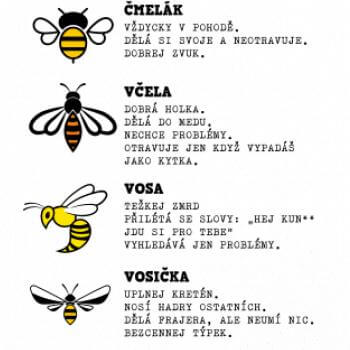Potisk trička Encyklopedie včel vos a čmeláků detail