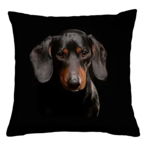 Polštář s potiskem Jezevčík